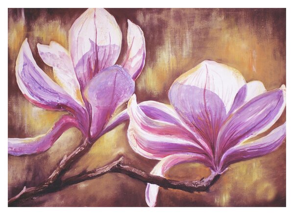 Obraz - Kwiaty magnolii (70x50 cm)