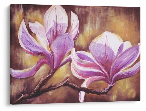 Obraz - Kwiaty magnolii (70x50 cm)