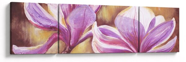 Obraz - Kwiaty magnolii (170x50 cm)