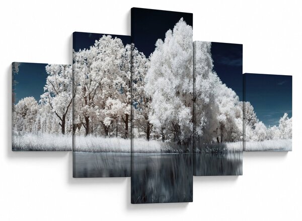 Obraz - Śnieżnobiałe drzewa (125x70 cm)