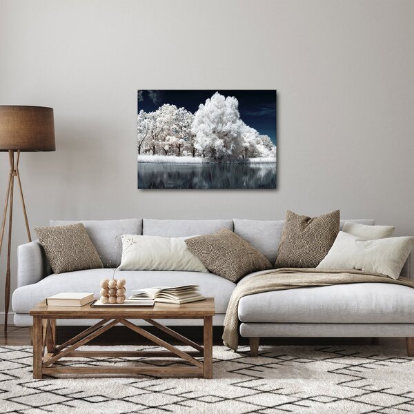 Obraz - Śnieżnobiałe drzewa (70x50 cm)