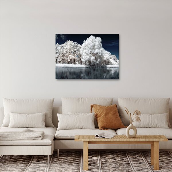 Obraz - Śnieżnobiałe drzewa (70x50 cm)
