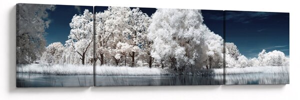 Obraz - Śnieżnobiałe drzewa (170x50 cm)