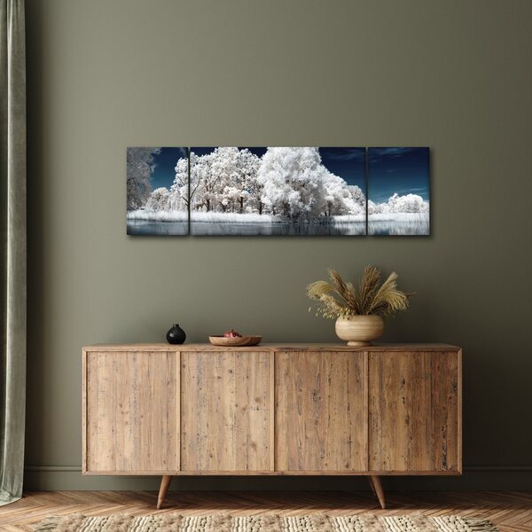 Obraz - Śnieżnobiałe drzewa (170x50 cm)