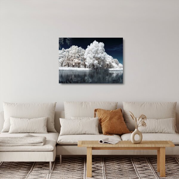 Obraz na szkle - Śnieżnobiałe drzewa (70x50 cm)