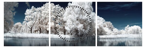 Obraz - Śnieżnobiałe drzewa (z zegarem) (90x30 cm)