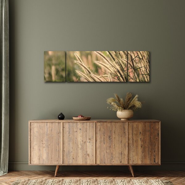 Obraz - Ziarno (170x50 cm)