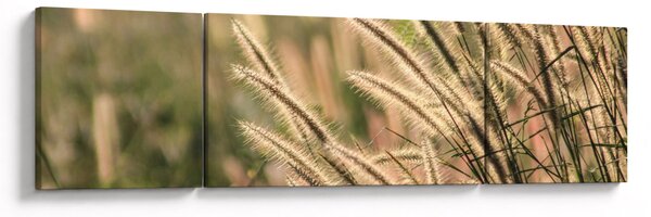 Obraz - Ziarno (170x50 cm)