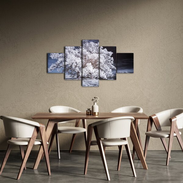 Obraz - Śnieżnobiałe drzewo (125x70 cm)