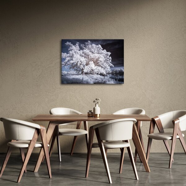Obraz - Śnieżnobiałe drzewo (70x50 cm)