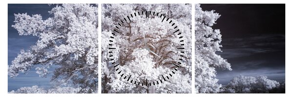 Obraz - Śnieżnobiałe drzewo (z zegarem) (90x30 cm)