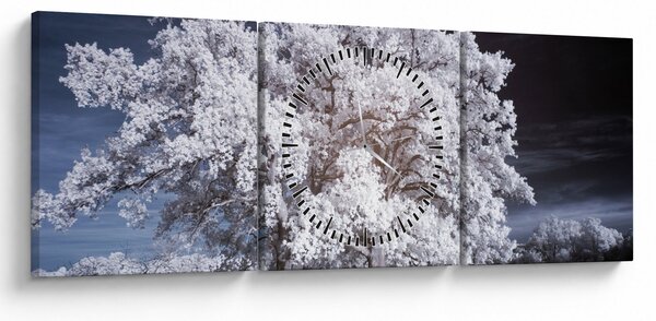 Obraz - Śnieżnobiałe drzewo (z zegarem) (90x30 cm)