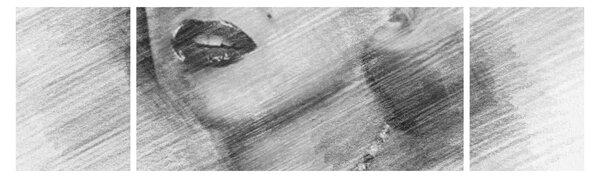 Obraz - Portret Marilyn Monroe (170x50 cm)