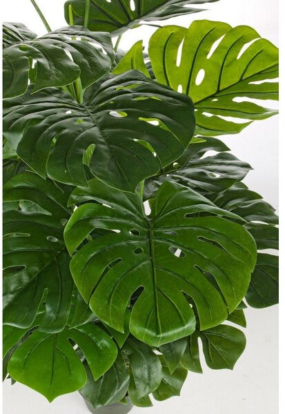 Sztuczna monstera (wysokość 120 cm) Philodendron – Bizzotto