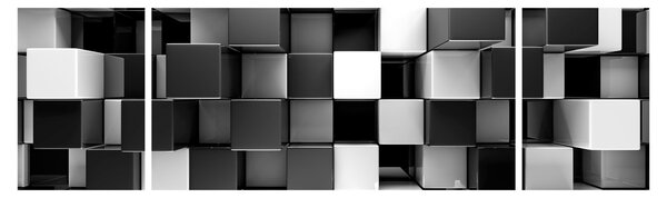 Obraz - Kości (170x50 cm)