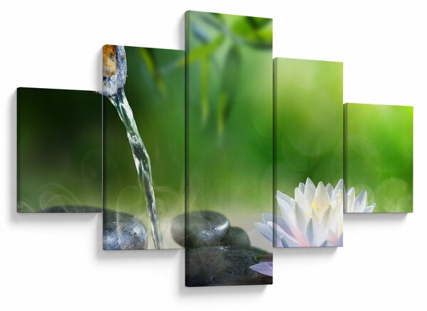 Obraz - Lotos (125x70 cm)