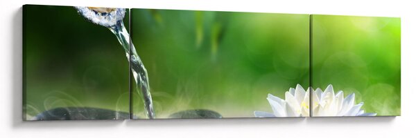 Obraz - Lotos (170x50 cm)