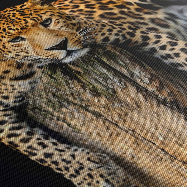 Obraz - Gepard (z zegarem) (90x30 cm)
