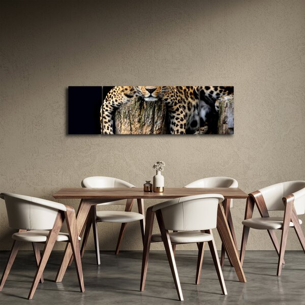 Obraz - Gepard (170x50 cm)