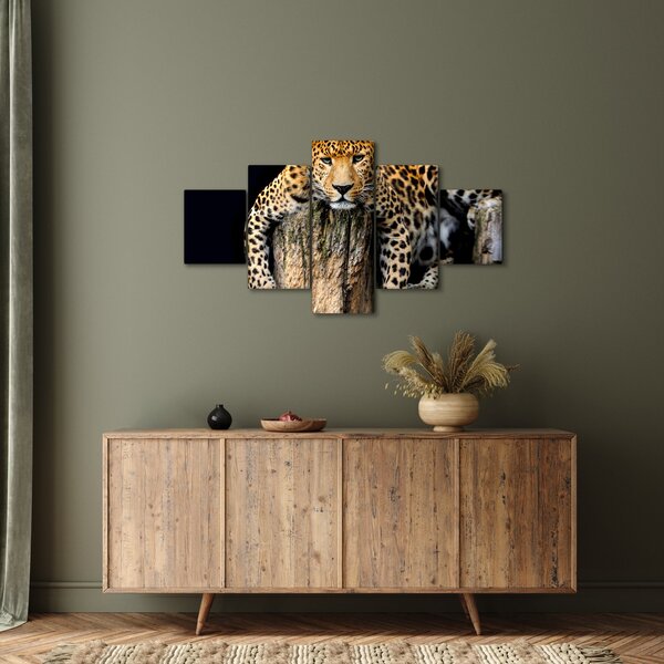 Obraz - Gepard (125x70 cm)