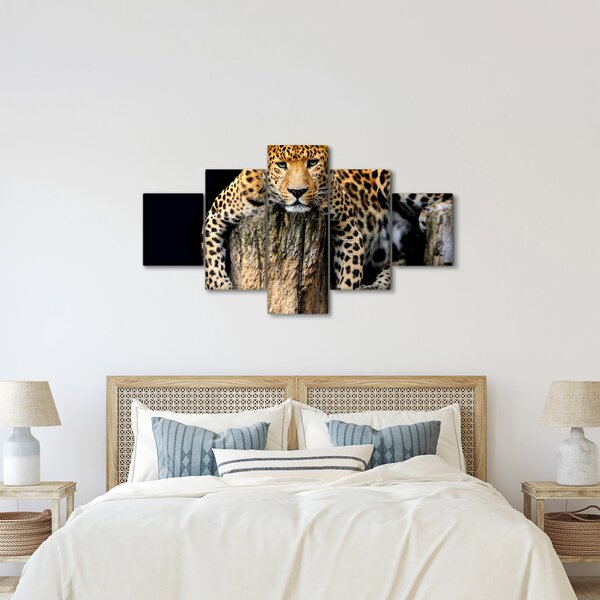 Obraz - Gepard (125x70 cm)