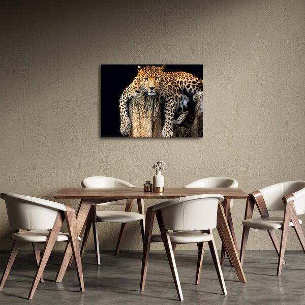 Obraz - Gepard (70x50 cm)