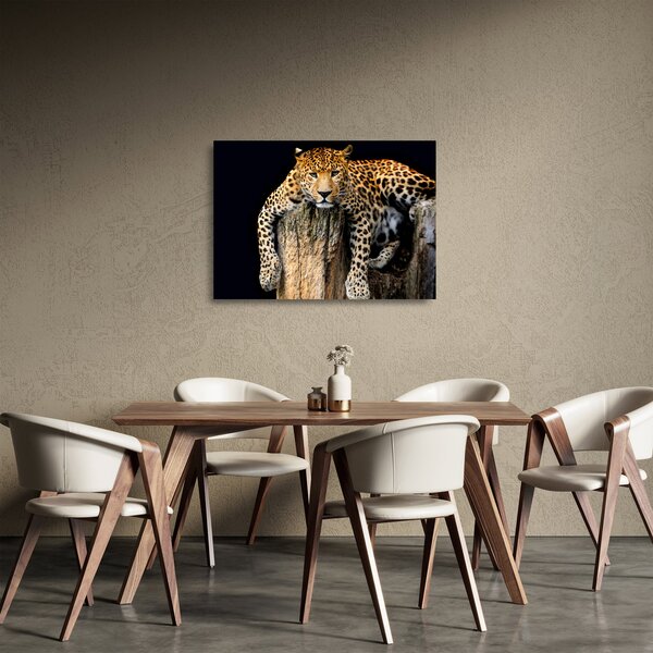 Obraz na szkle - Gepard (70x50 cm)