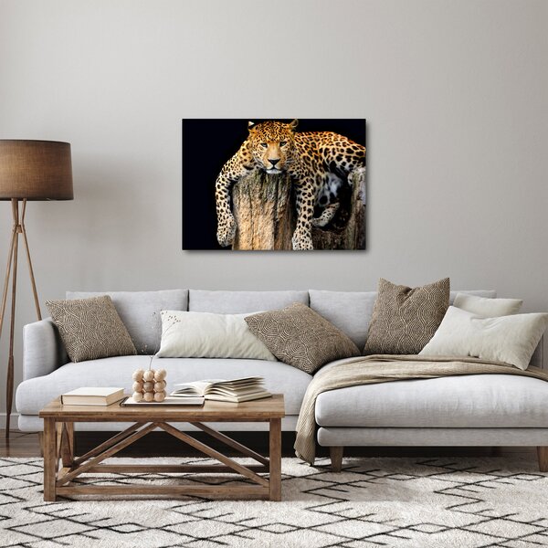 Obraz - Gepard (70x50 cm)