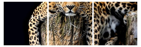 Obraz - Gepard (z zegarem) (90x30 cm)