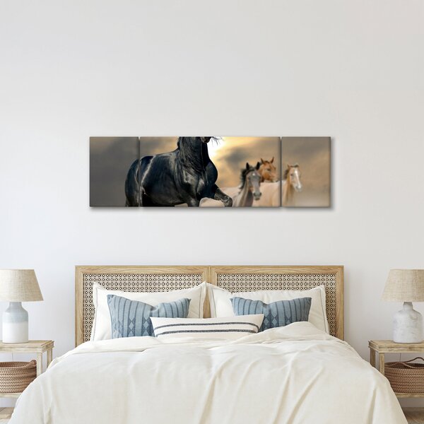Obraz - Konie (170x50 cm)