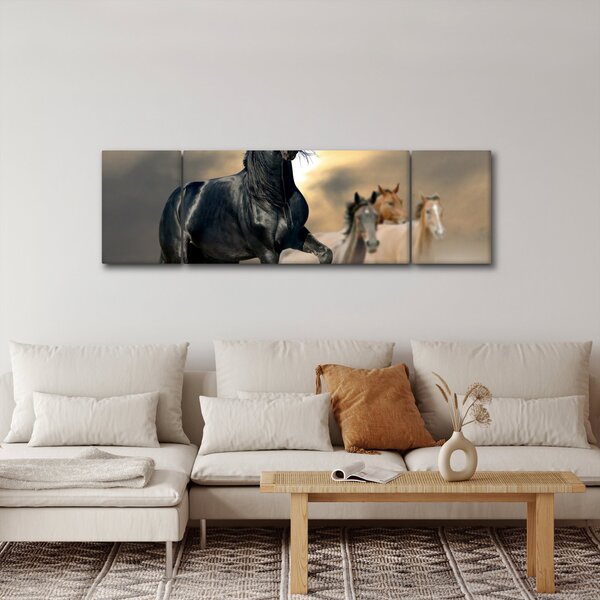 Obraz - Konie (170x50 cm)