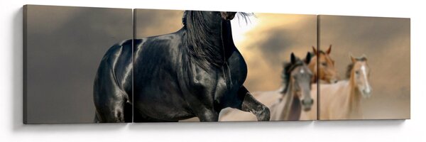 Obraz - Konie (170x50 cm)