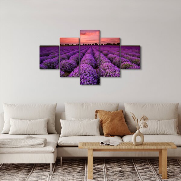 Obraz - Pole lawendy (125x70 cm)