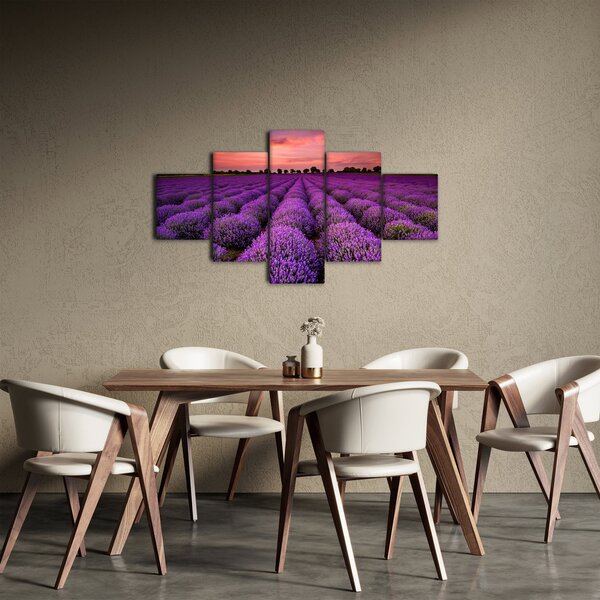 Obraz - Pole lawendy (125x70 cm)