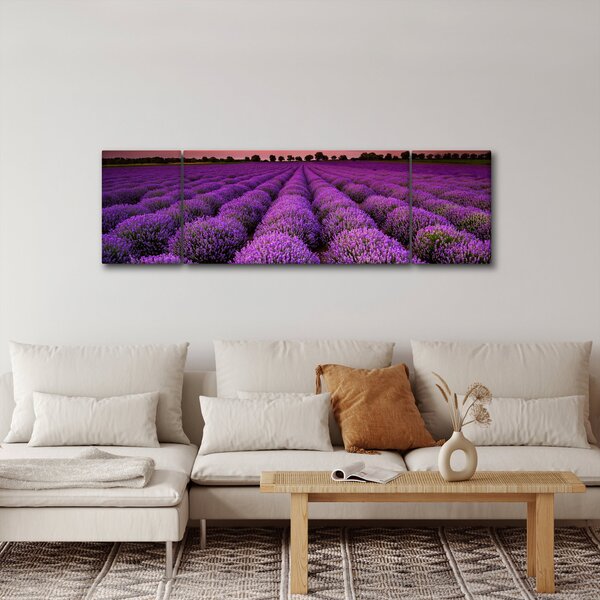 Obraz - Pole lawendy (170x50 cm)