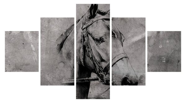 Obraz - Portret konia (125x70 cm)