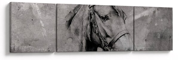Obraz - Portret konia (170x50 cm)