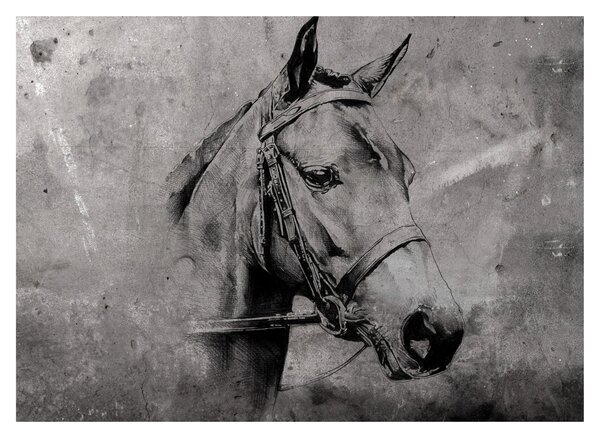 Obraz - Portret konia (70x50 cm)