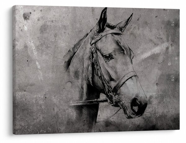 Obraz - Portret konia (70x50 cm)
