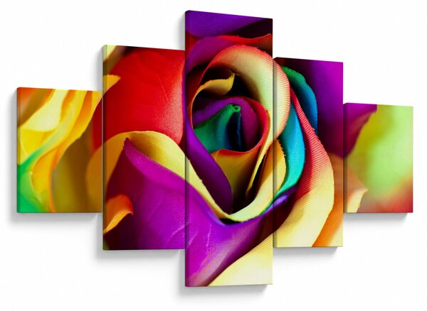 Obraz - Kolorowa róża (125x70 cm)