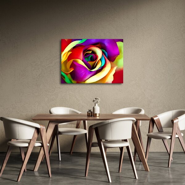 Obraz - Kolorowa róża (70x50 cm)