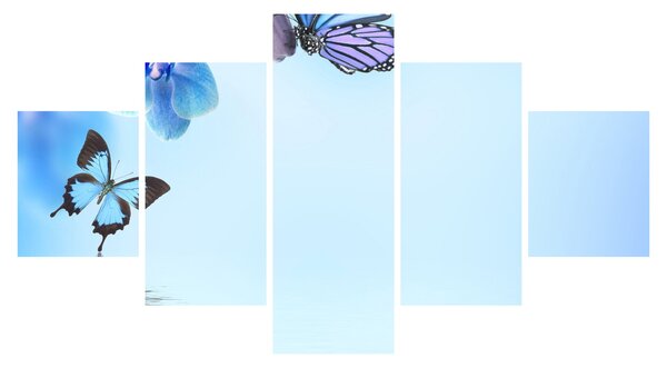 Obraz - Motyl na kwiatach orchidei, niebieski (125x70 cm)