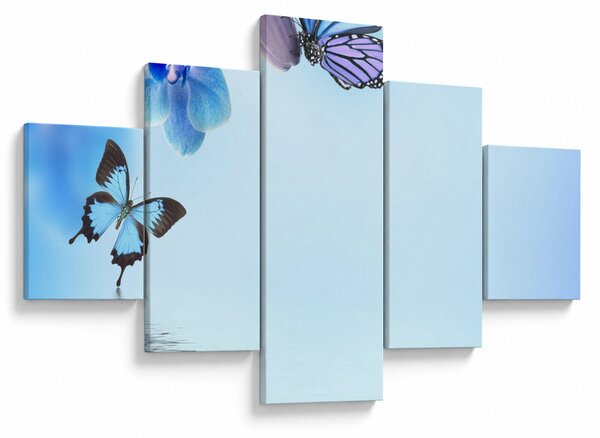 Obraz - Motyl na kwiatach orchidei, niebieski (125x70 cm)