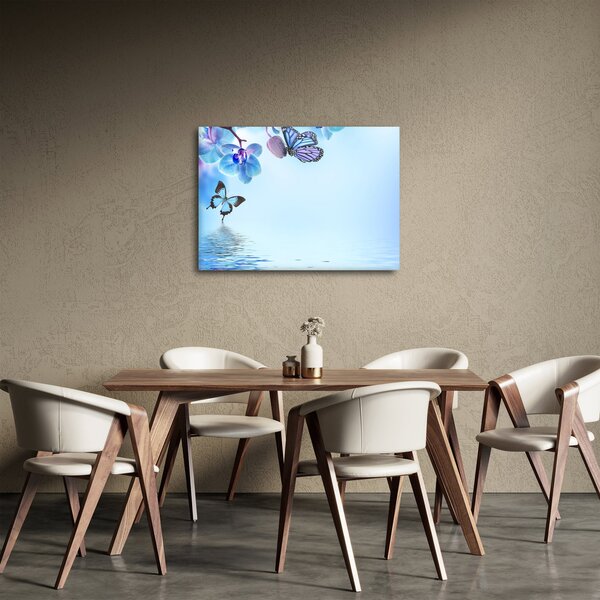 Obraz - Motyl na kwiatach orchidei, niebieski (70x50 cm)