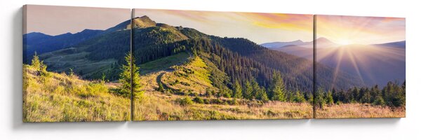 Obraz - Krajobraz leśny (170x50 cm)