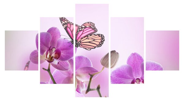 Obraz - Motyl na kwiatach orchidei, liliowy (125x70 cm)
