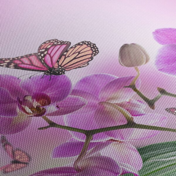 Obraz - Motyl na kwiatach orchidei, liliowy (70x50 cm)