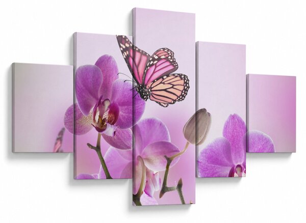 Obraz - Motyl na kwiatach orchidei, liliowy (125x70 cm)