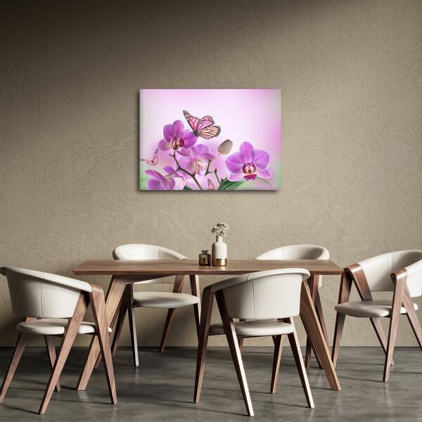 Obraz - Motyl na kwiatach orchidei, liliowy (70x50 cm)