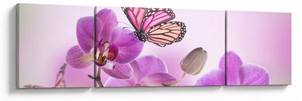Obraz - Motyl na kwiatach orchidei, liliowy (170x50 cm)